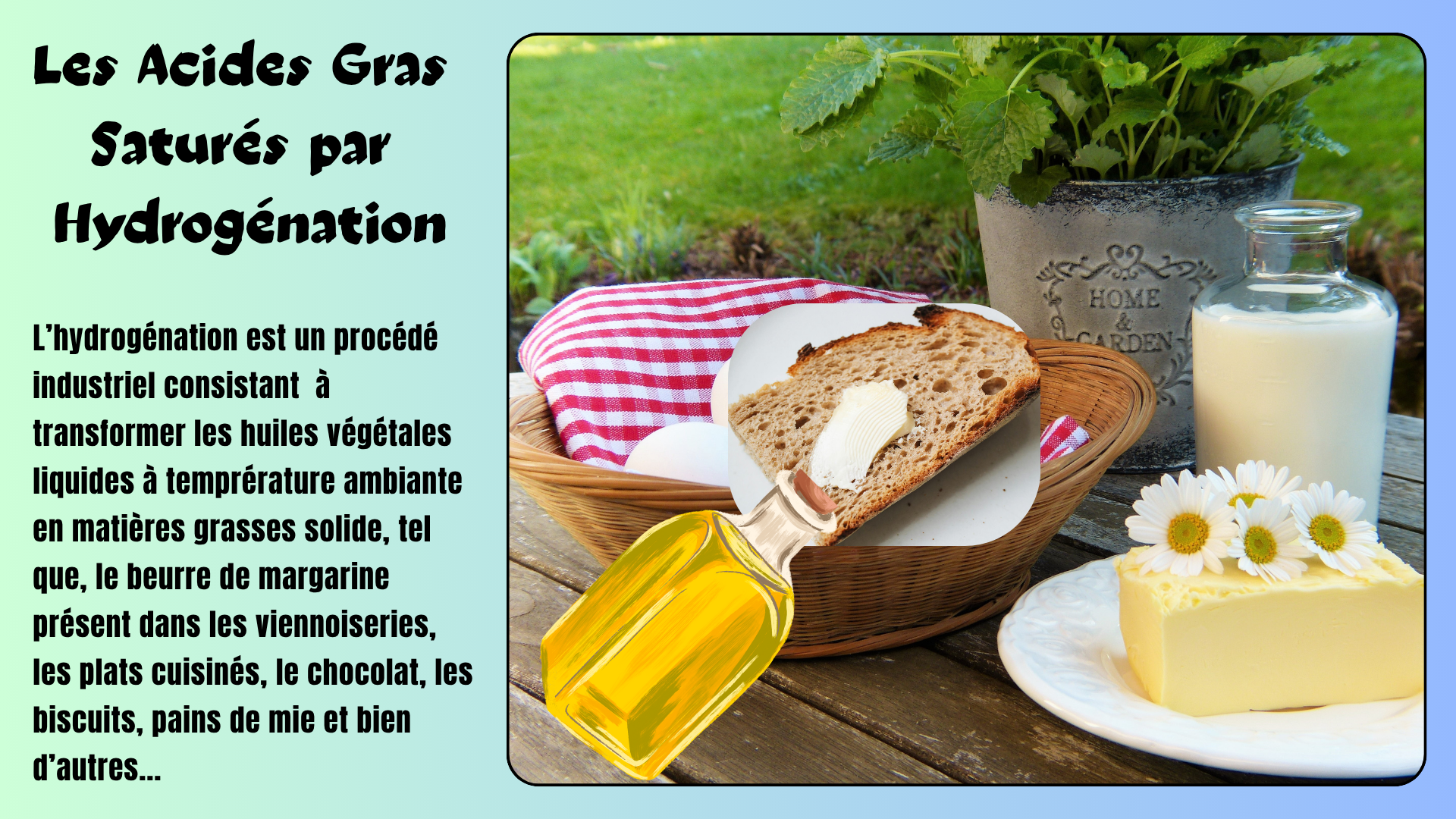 You are currently viewing Les acides gras saturés par hydrogénation
