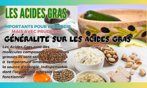 Les Acides Gras