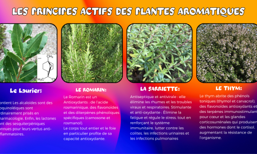 Plantes Aromatiques