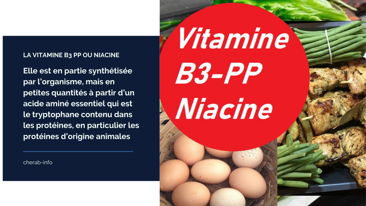 La vitamine B3-La Niacine