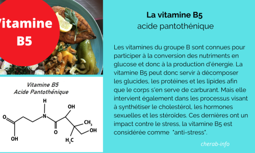 La vitamine B5 – acide d-pantothénique