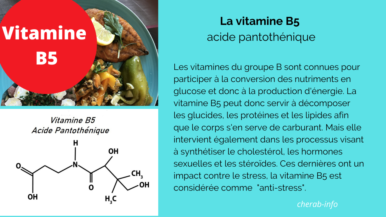 La vitamine B5 – acide d-pantothénique