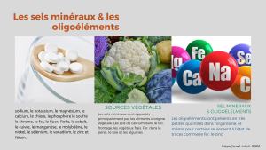 Sel mineraux et oligoelements