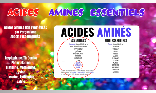 Les acides aminés essentiels