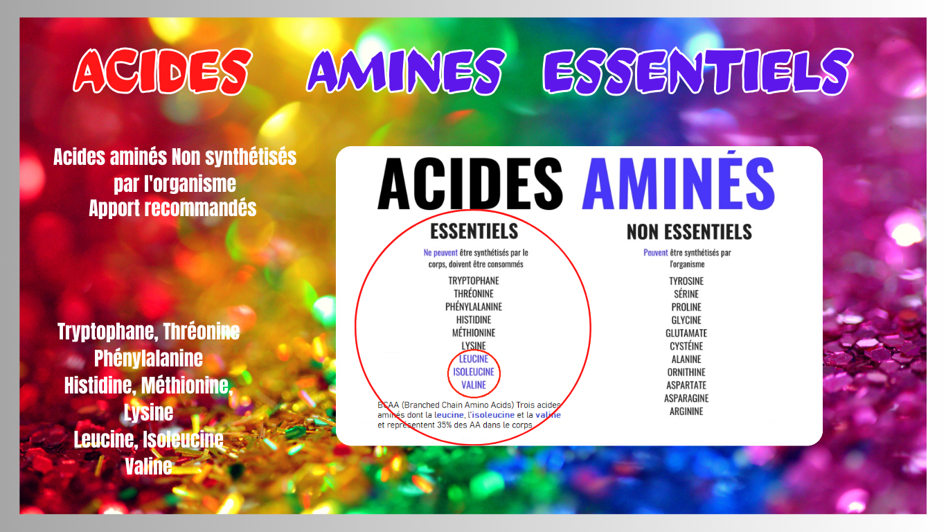 You are currently viewing Les acides aminés essentiels