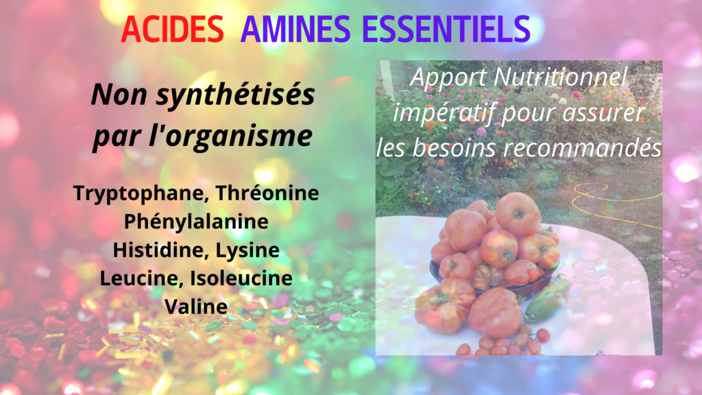 Les acides aminés essentiels snailinfo — free download