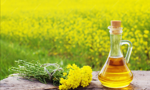Huile de colza