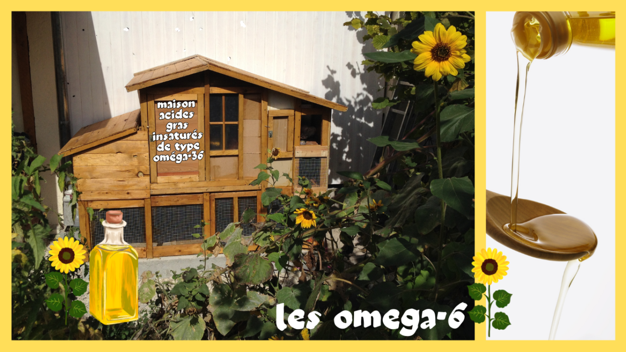 L&rsquo;huile Oméga-6