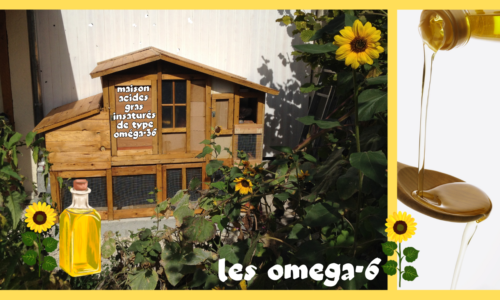 L&rsquo;huile Oméga-6