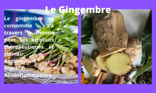 Le gingembre