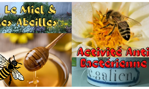 Le miel et l’Abeille