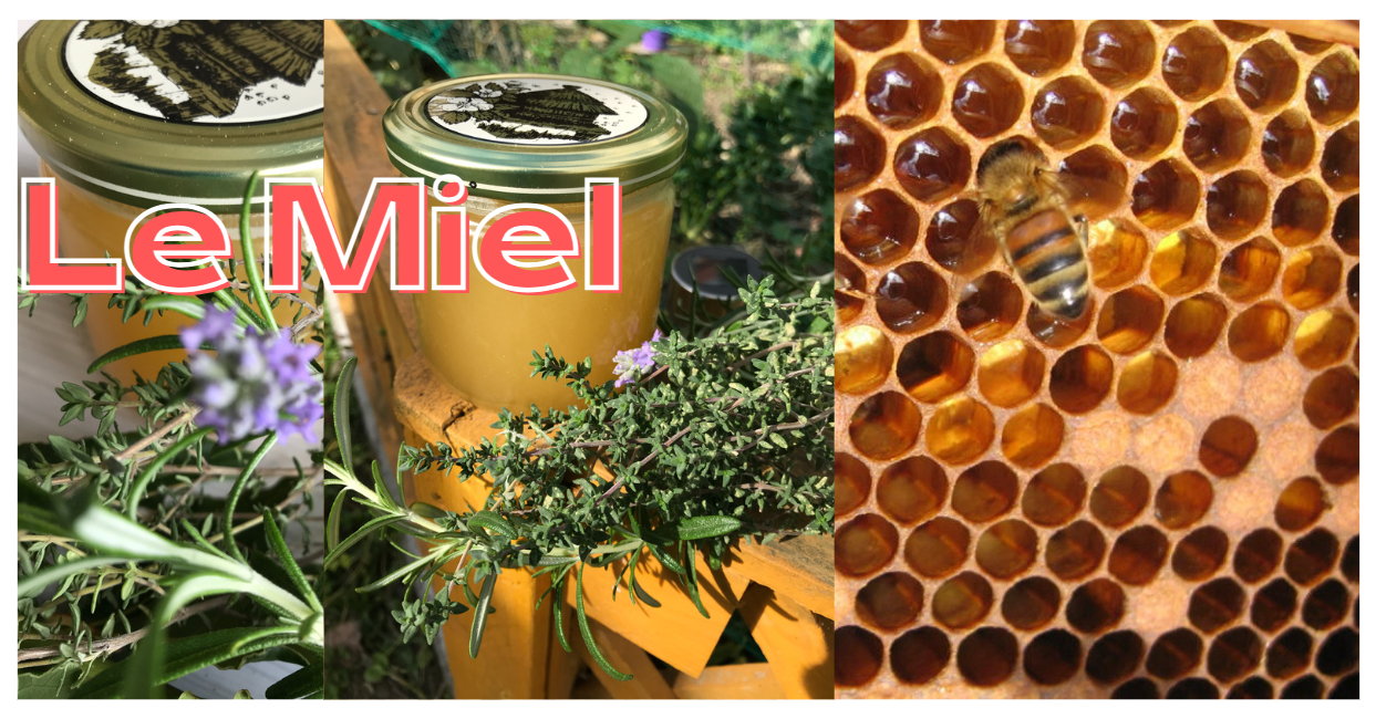 You are currently viewing Le Miel