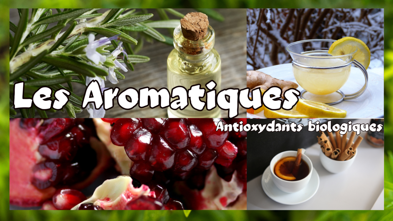 Les Aromatiques