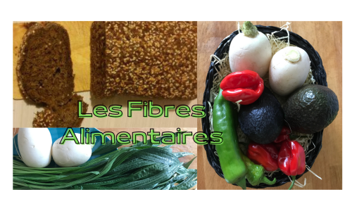 Les fibres