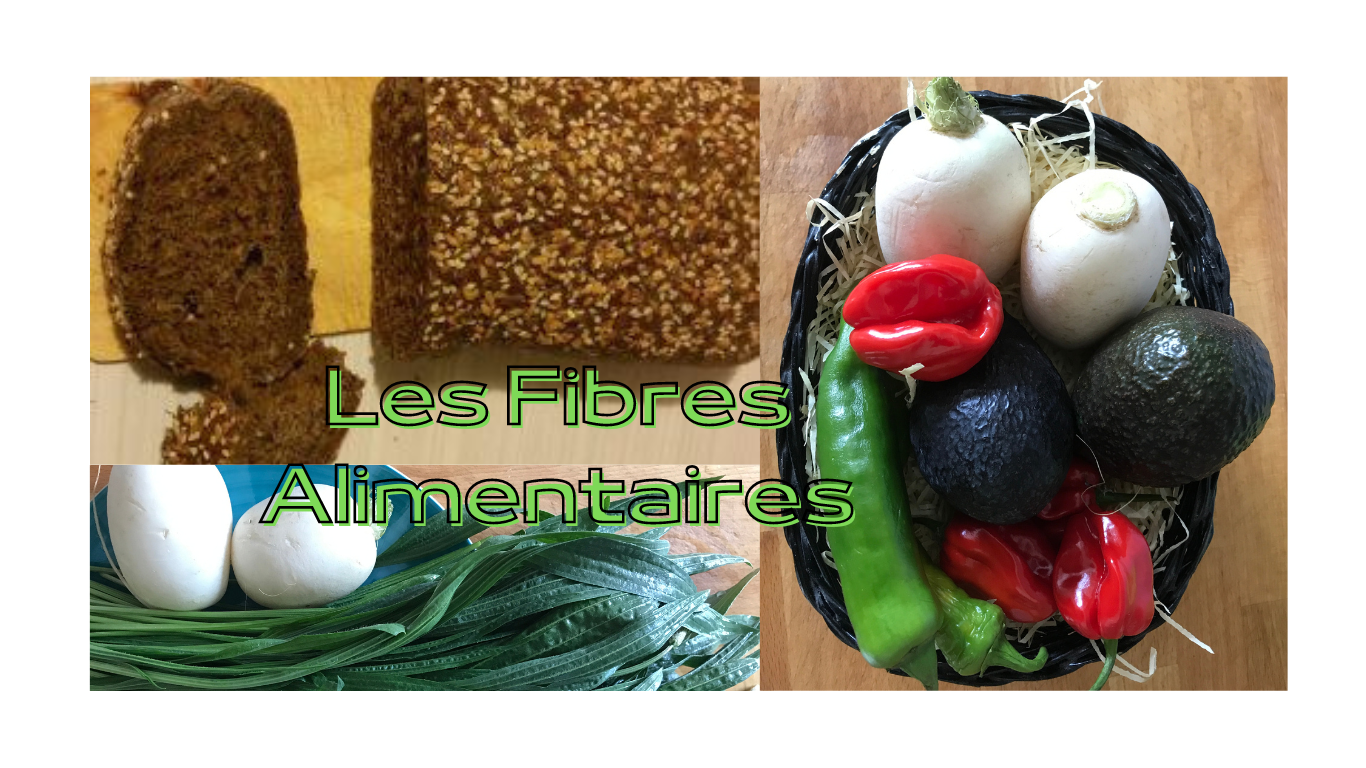 You are currently viewing Les fibres