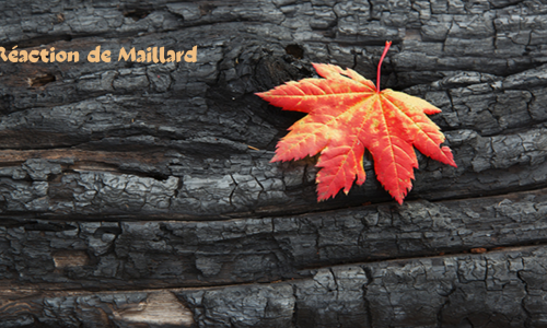 Réaction de Maillard