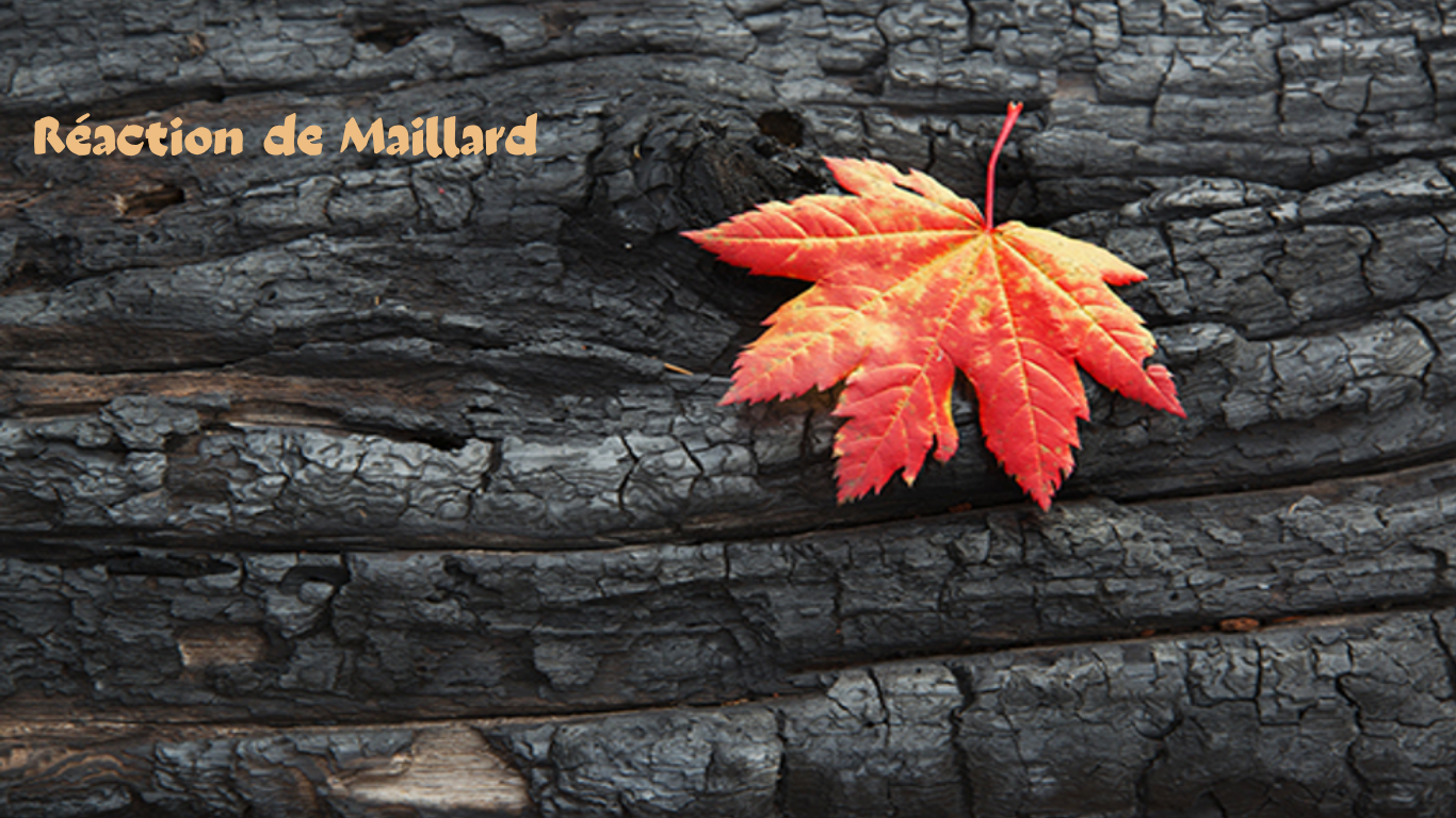 You are currently viewing Réaction de Maillard