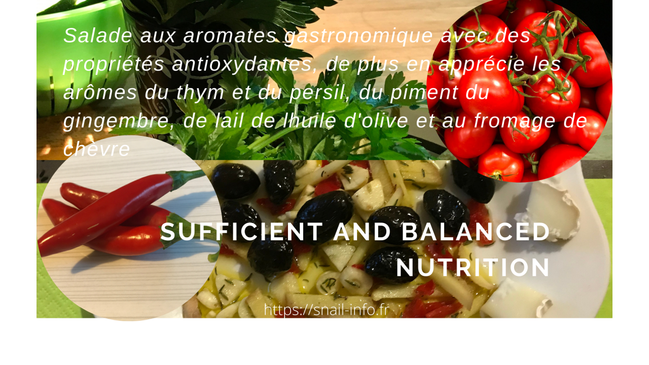 You are currently viewing Salade aux Aromates