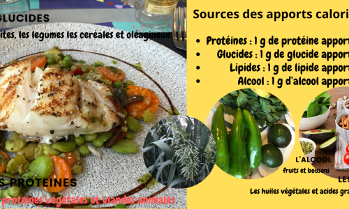 L’énergie et calories