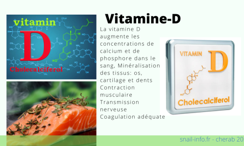 La Vitamine-D