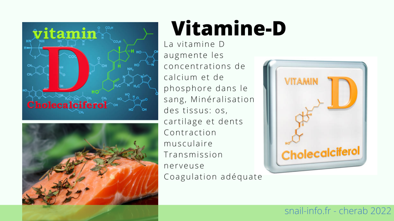 You are currently viewing La Vitamine-D