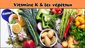Les vitamines liposolubles