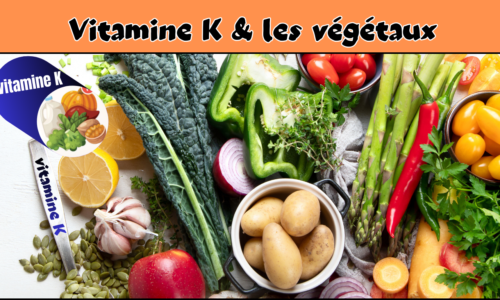 La vitamine-K