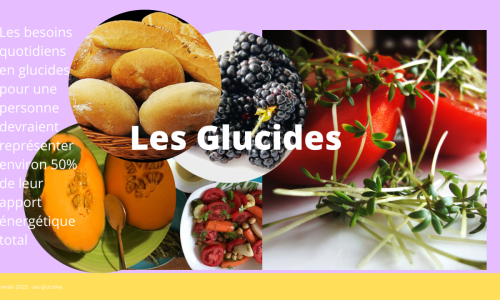 Les glucides