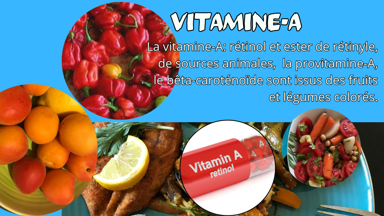 You are currently viewing La vitamine-A