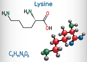 lysine-aa