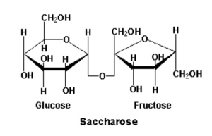 saccharose