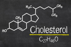 le cholesterol