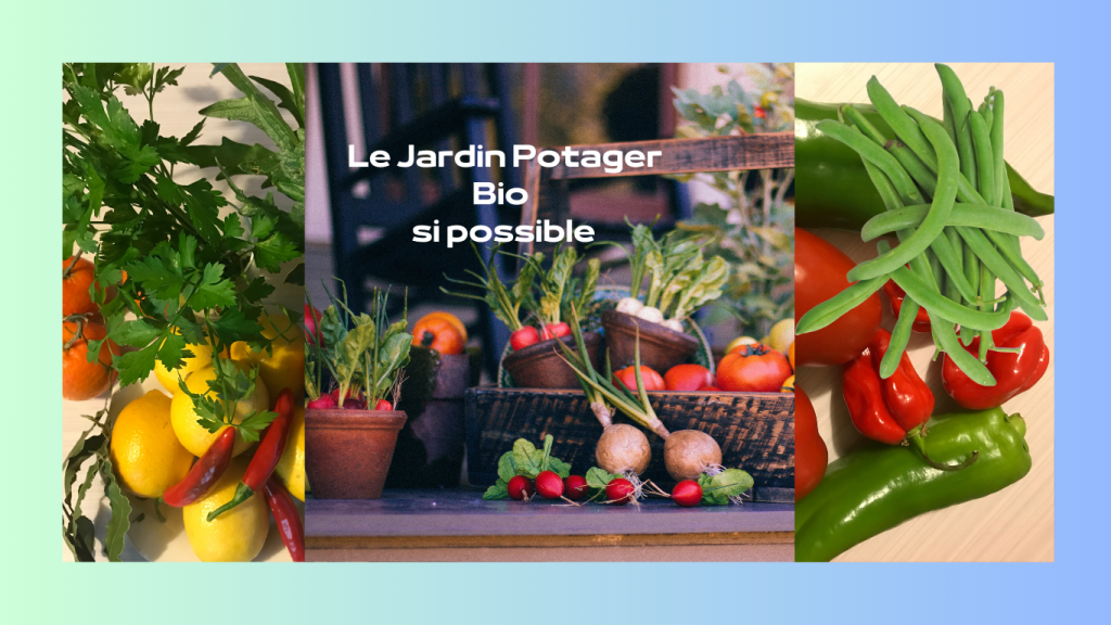 Le jardin potager bio