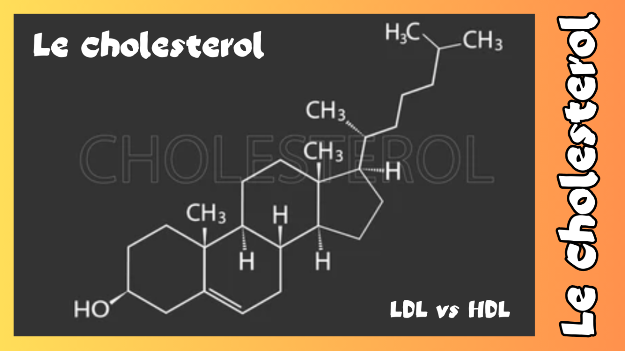 Le Cholestérol