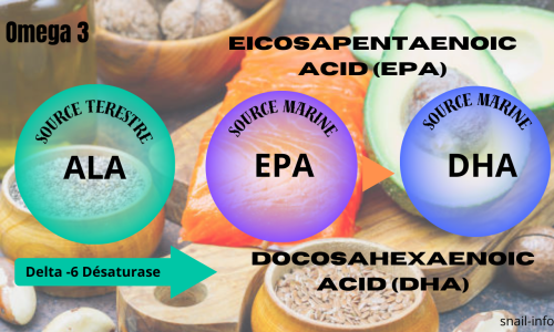 Omega3-ratio Epa Dha