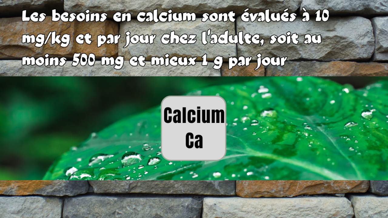 Le calcium