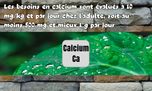 Le calcium