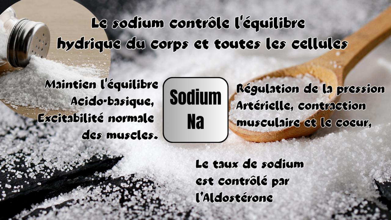 Le Sodium