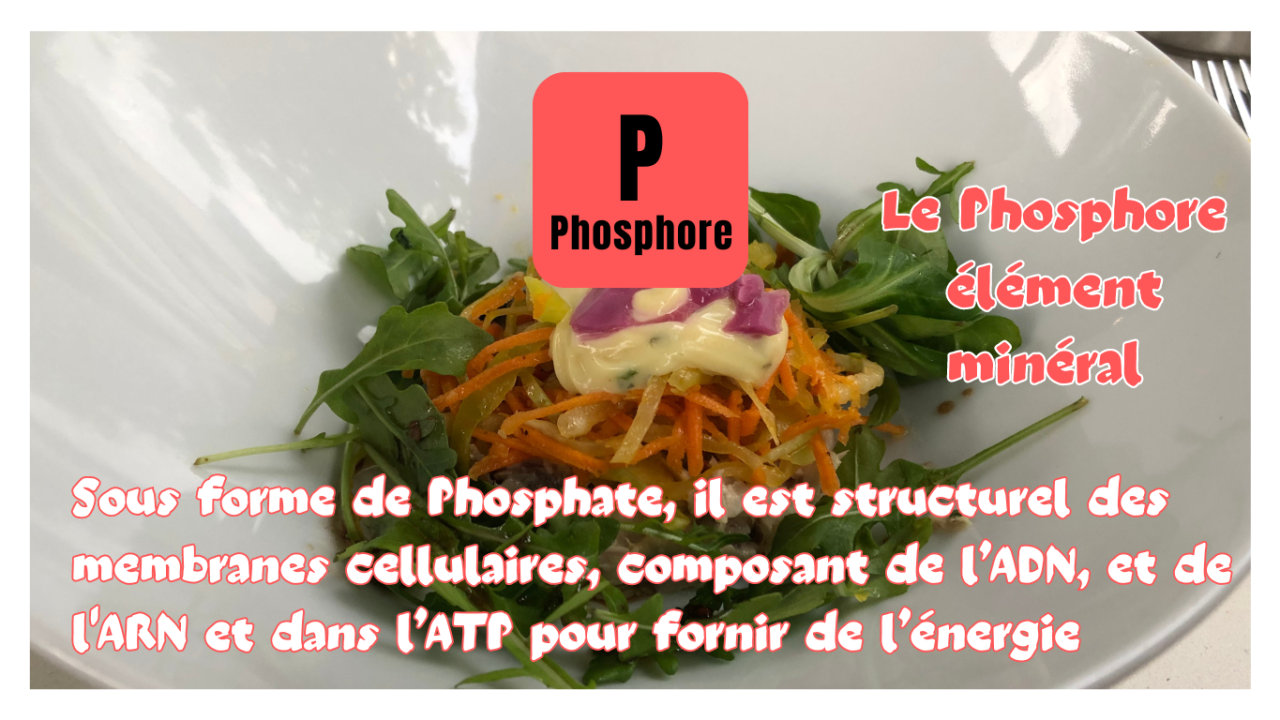 Le phosphore