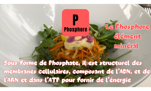 Le phosphore