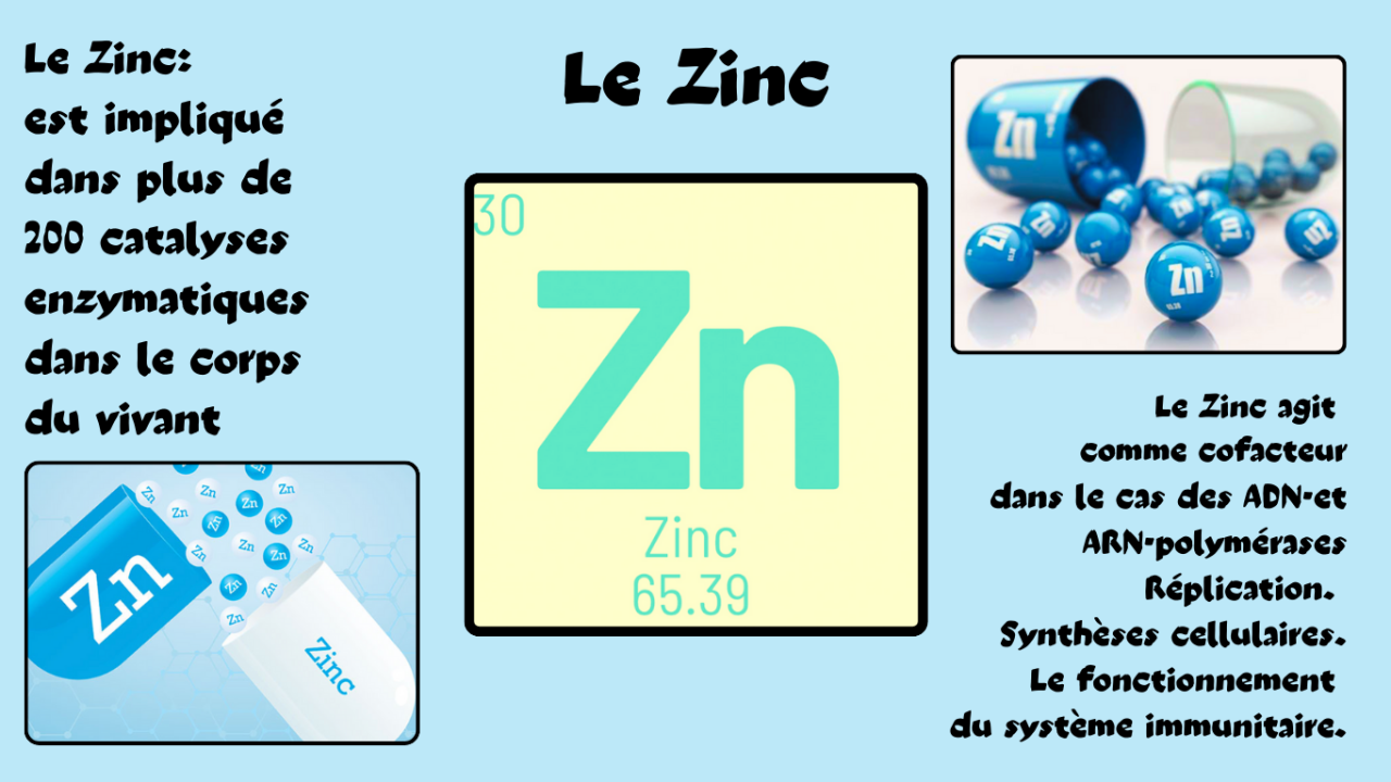 Le zinc