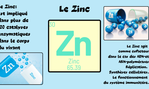 Le zinc