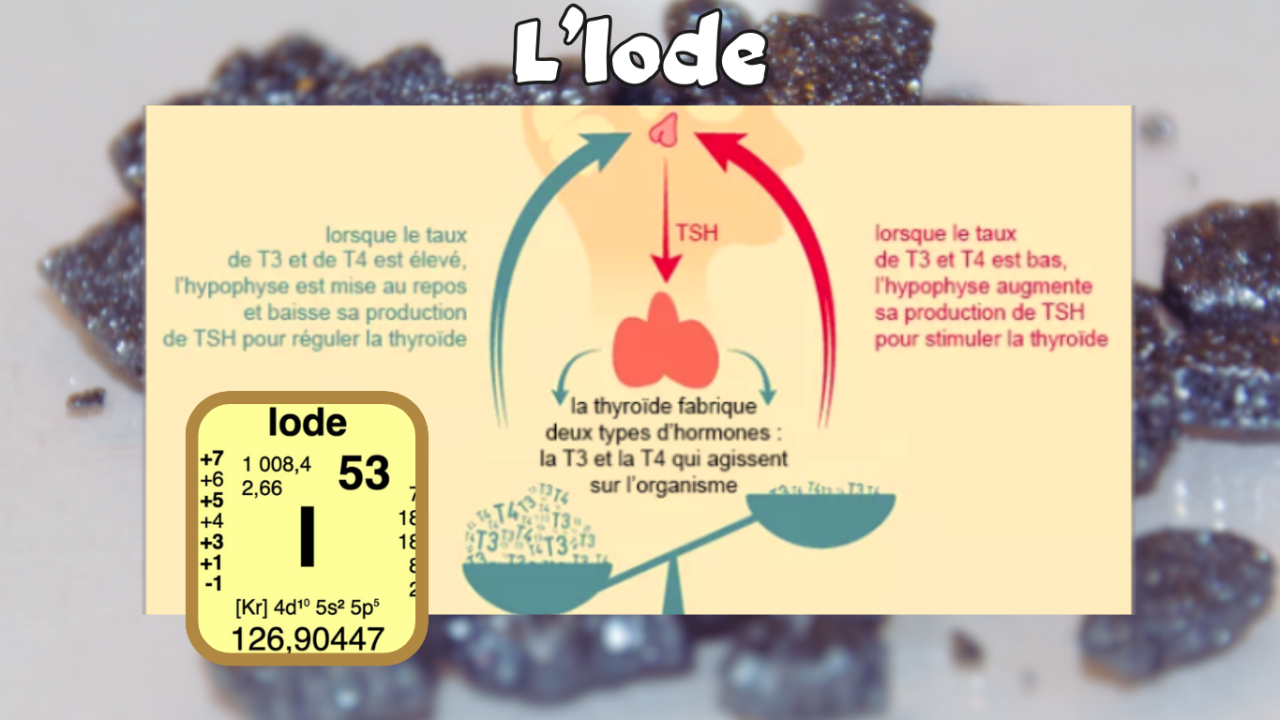 L’iode