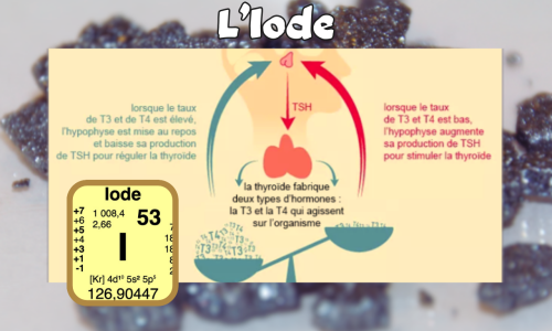 L’iode