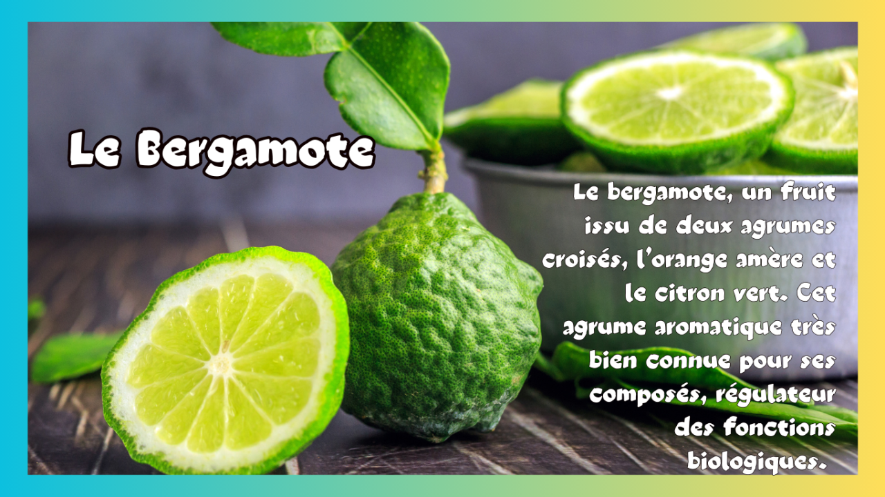 Le bergamote