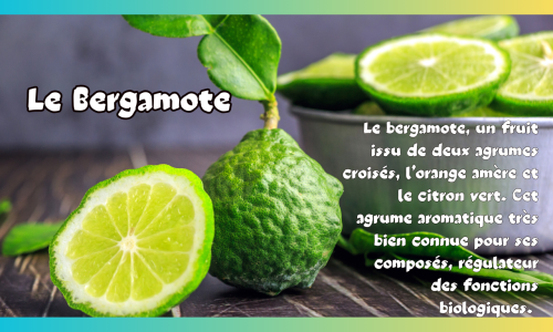 Le bergamote