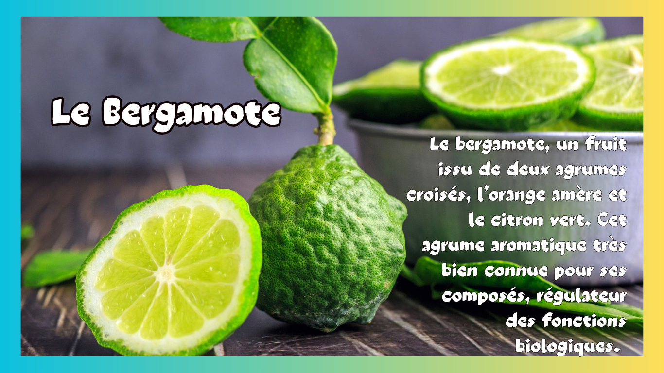 You are currently viewing Le bergamote