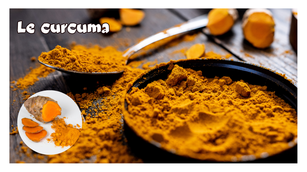 Le Curcuma