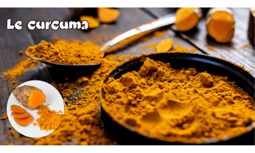 Le Curcuma