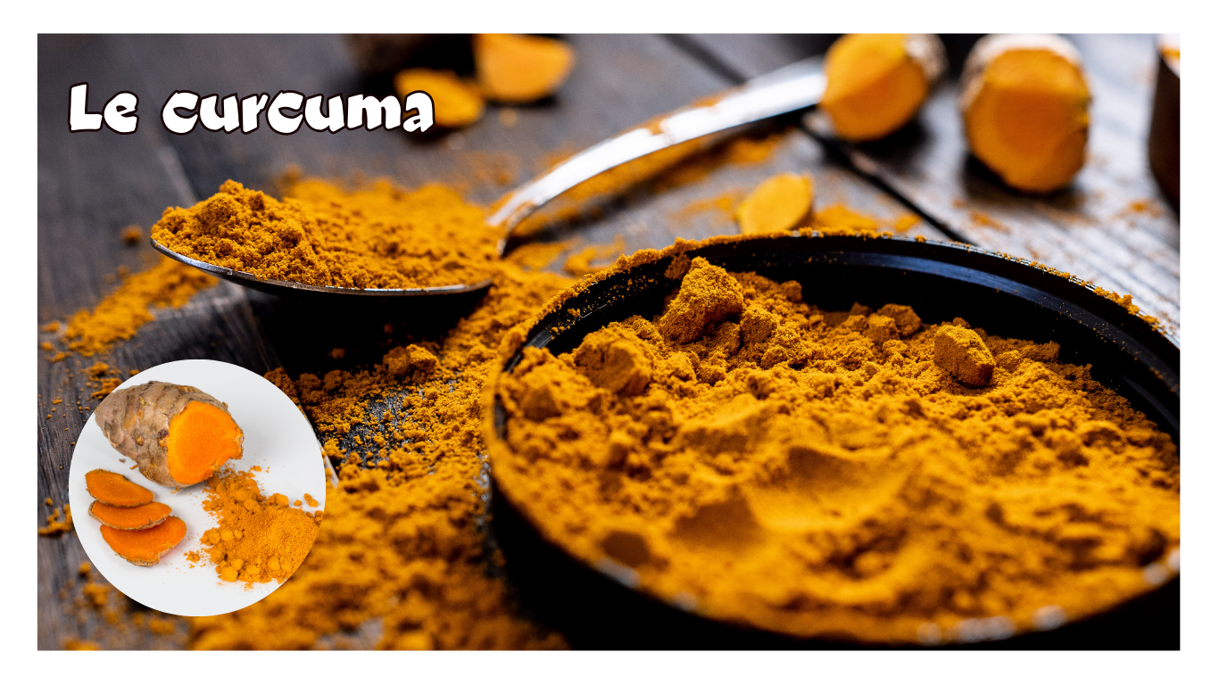 You are currently viewing Le Curcuma